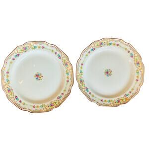 Vintage 10” Floral Porcelain Dinner Plates (Set of 2)